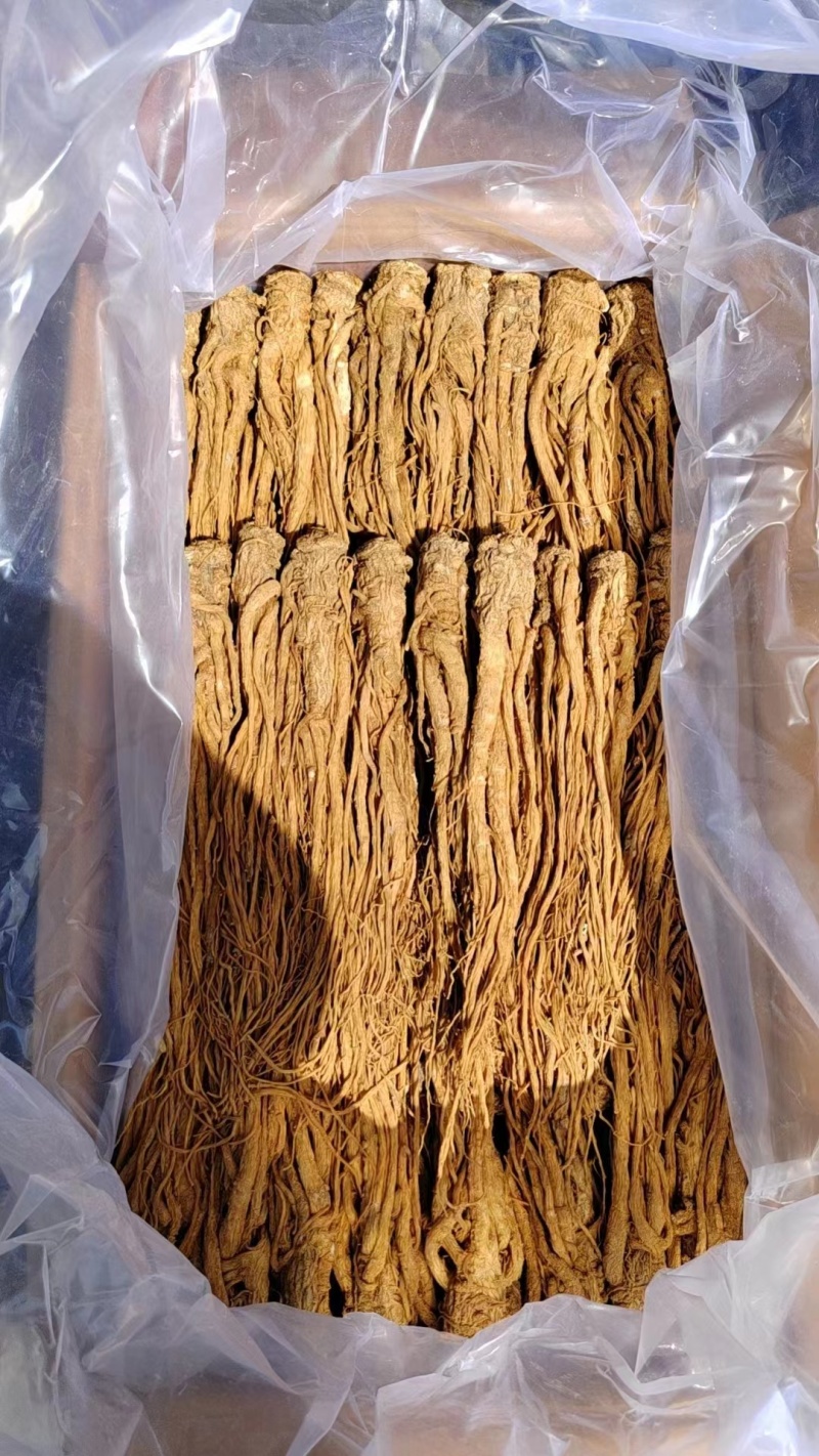 当归**24小时在线服务全国供应***健康放心购