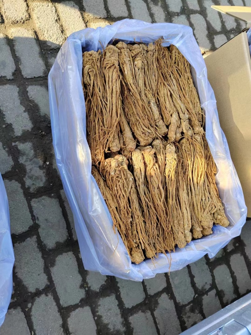 当归**24小时在线服务全国供应***健康放心购
