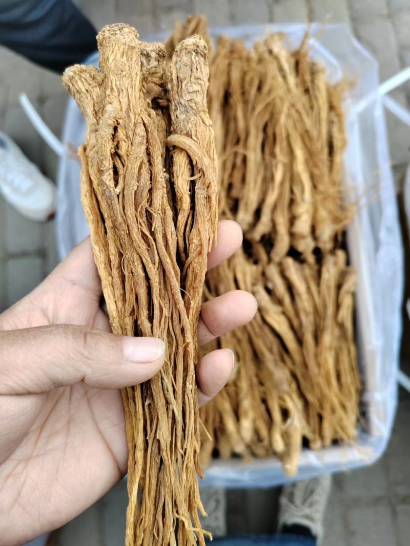 当归**24小时在线服务全国供应***健康放心购