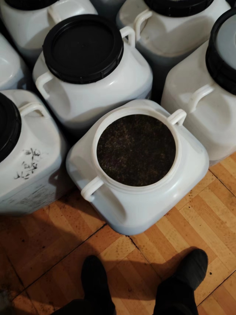 荆条蜂蜜蜂农自产新鲜蜂蜜口味纯正包邮两桶发货面谈电联
