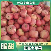 【优选苹果】河南红富士苹果-价格低口感佳-产地直发