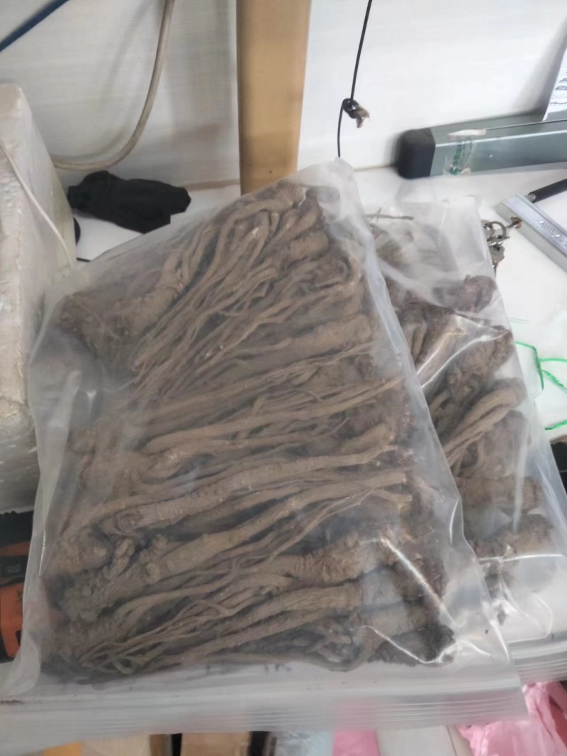 【甘肃岷县优选无硫当归原条】岷县当归产地直发供应全国