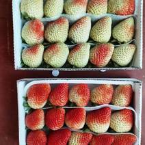 【精品】蒙特瑞草莓大量上市一件代发30斤精装