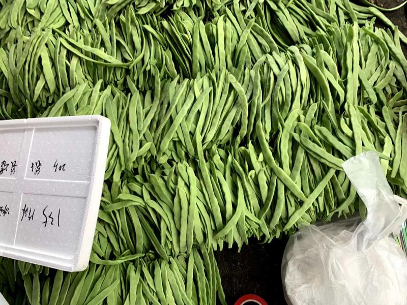 山东精品扁芸豆货源充足价格优惠产地直发发全国市场欢迎咨询