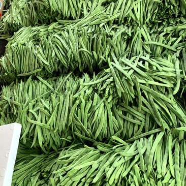 山东精品扁芸豆货源充足价格优惠产地直发发全国市场欢迎咨询