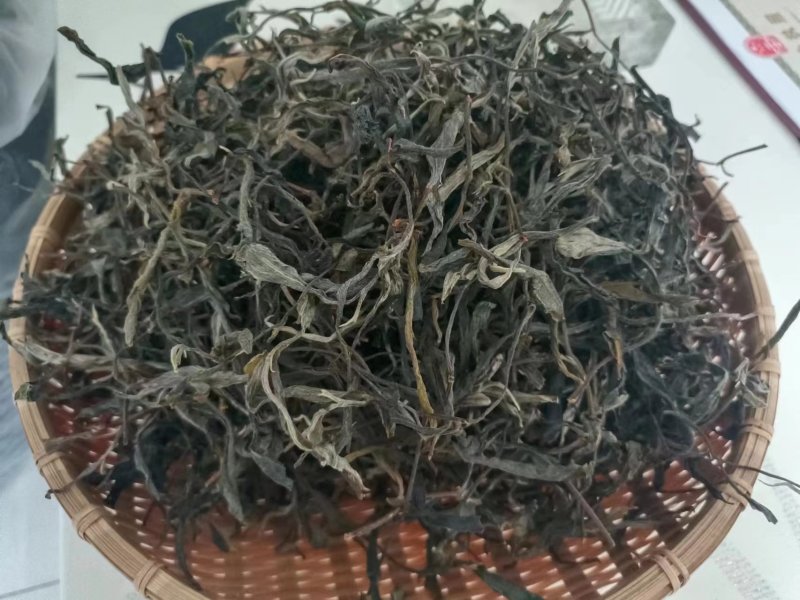 【自家种植】云南普洱茶烤青普洱茶晒青欢迎抢购