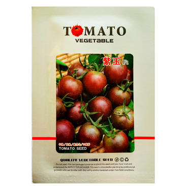 西红柿种子紫玉厂家直发提供技术诚信经营