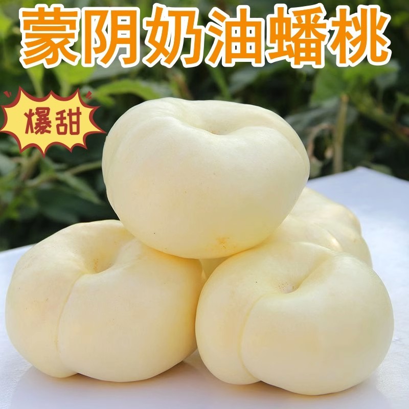 蒙阴奶油蟠桃奶油白蟠桃小油蟠桃一件代发露天油蟠桃