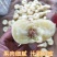 蒙阴奶油蟠桃奶油白蟠桃小油蟠桃一件代发露天油蟠桃