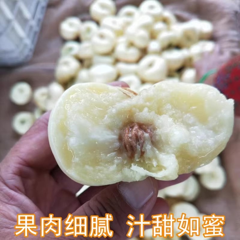 蒙阴奶油蟠桃奶油白蟠桃小油蟠桃一件代发露天油蟠桃