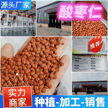 【酸枣仁】源头厂家权威检测种植加工销售一体化江苏
