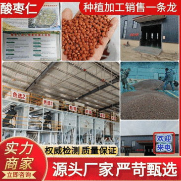 【酸枣仁】源头厂家权威检测种植加工销售一体化广西