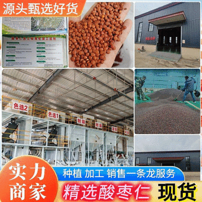 【酸枣仁】源头厂家权威检测种植加工销售一体化江西