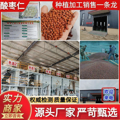 【酸枣仁】源头厂家权威检测种植加工销售一体化安徽
