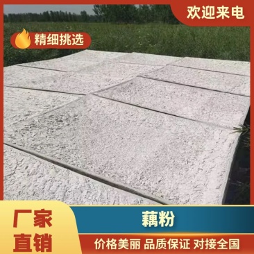 【精品藕粉】江苏宝应基地直供质量保证规格齐全