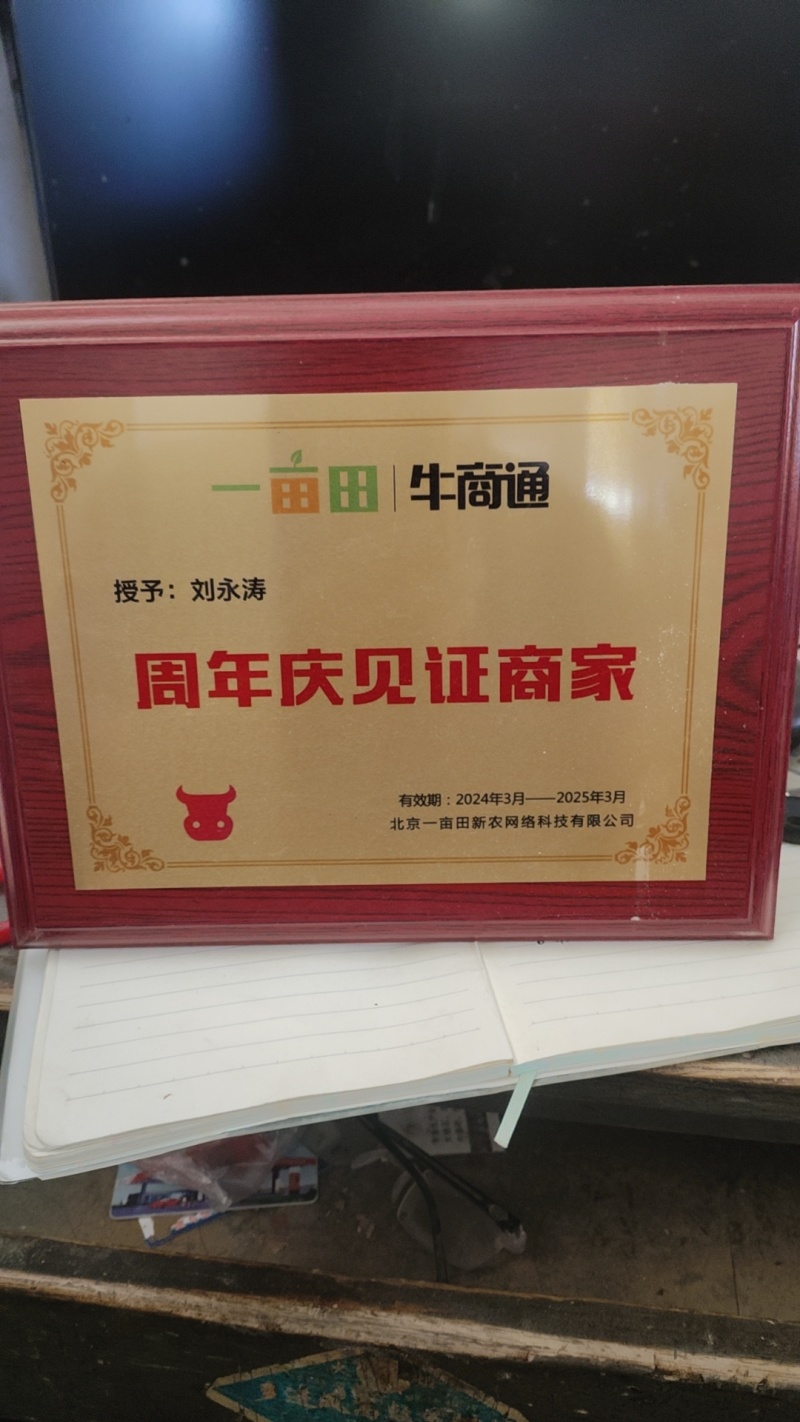 西施山药，现挖现卖，2025新货上市中，需要的赶快出手了