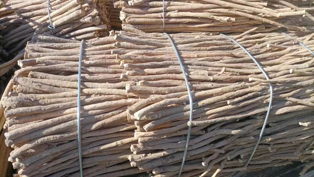 中药材白术与黄芪组合 中药材白术与黄芪组合