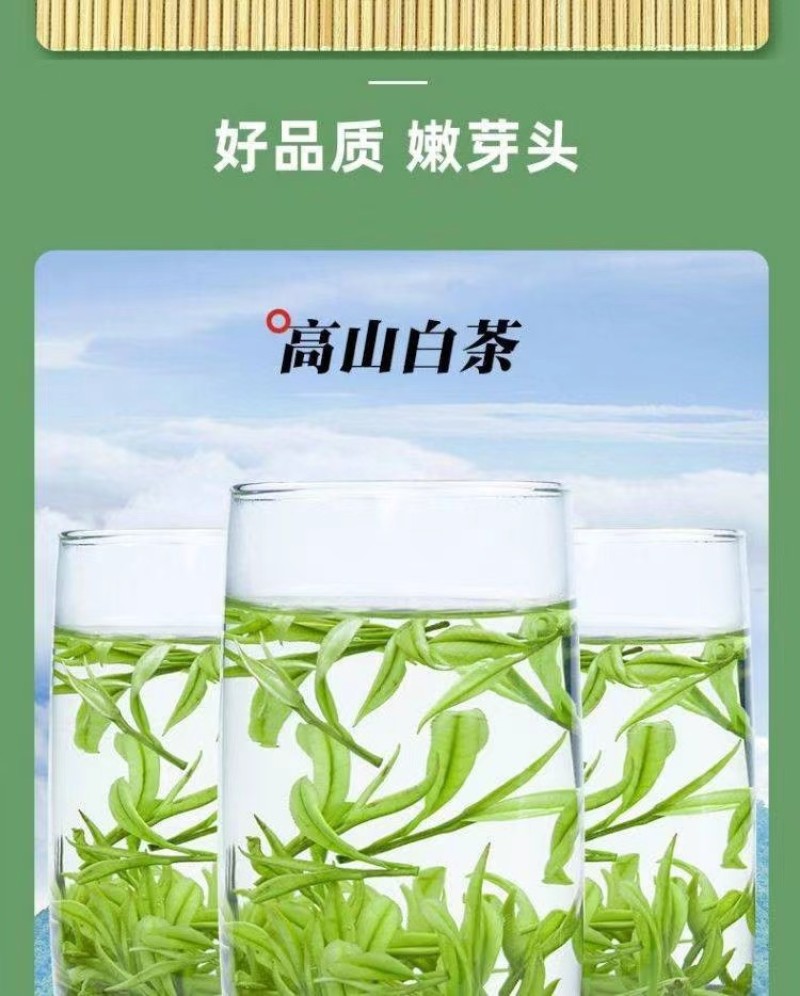 【新茶】安吉白茶口感清香品质保障欢迎咨询