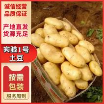 甄选热卖实验1号土豆，一手货源价优产地直发可视频看货