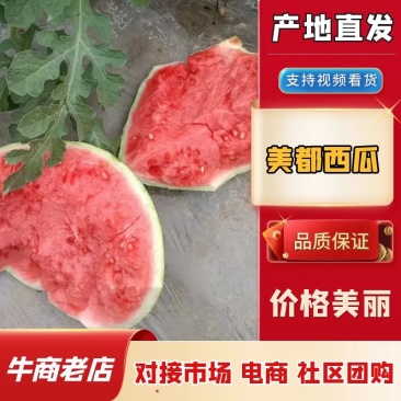 精品西瓜陕西产区无籽美都西瓜糖度高品质保障