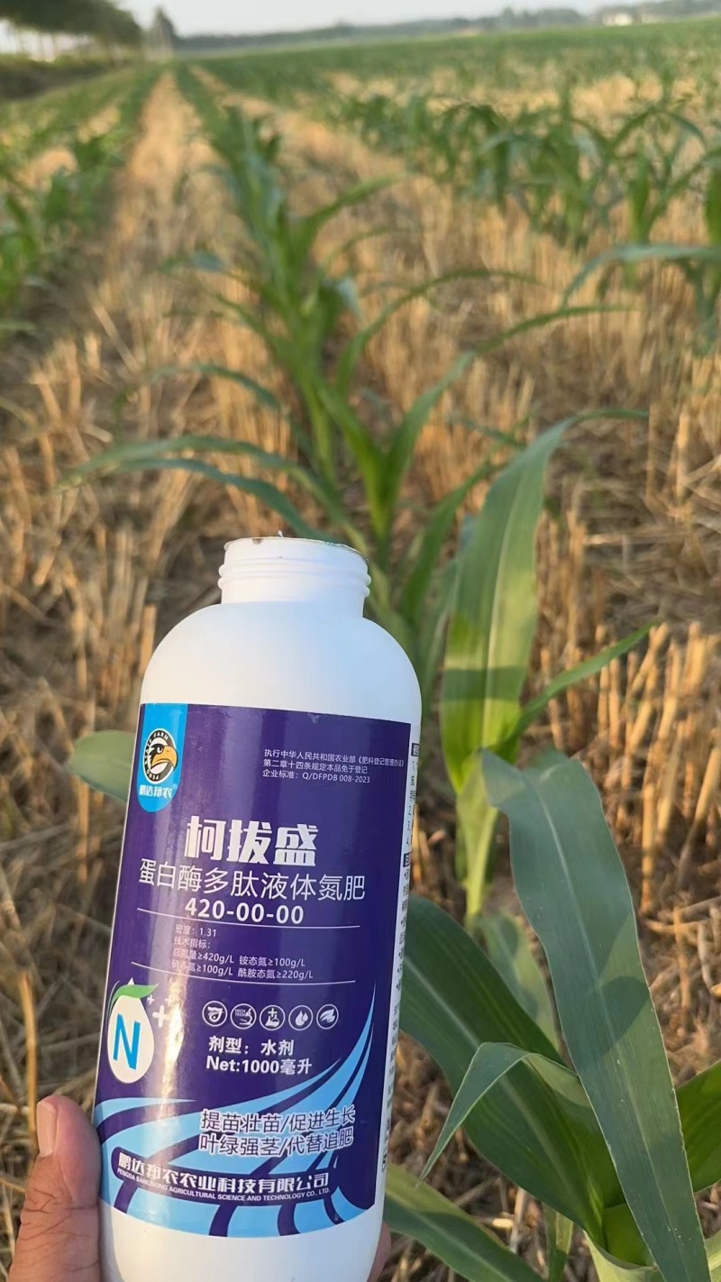 蛋白酶多肽液体氮肥可代替追肥高氮肥料增产增收长效速效