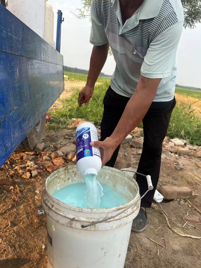 蛋白酶多肽液体氮肥可代替追肥高氮肥料增产增收长效速效