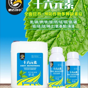 预防缺素症肥料提高作物抗逆能力氮磷钾铁锌钙营养全面