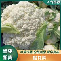 有机松花菜河北有机菜花货源稳定承接商超社团配货代收