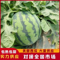 美都西瓜山东西瓜山东美都西瓜皮薄多汁包熟包甜