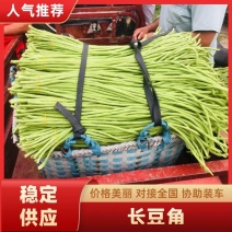 【现摘现发】广西青条豆角精品长豆角产地发货欢迎联系