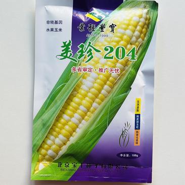 水果玉米种子，（9）美珍204，100克