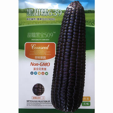 黑甜糯玉米种子，（16）黑甜糯639，100克