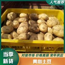 土豆上市中，自家土豆大量上市，价格全国发货电商团购！