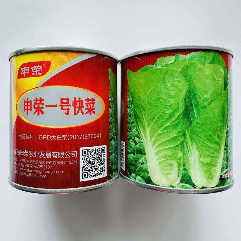 奶油快菜种子申荣一号快菜厂家直发提供技术