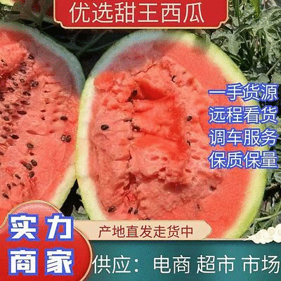 [甜王西瓜批发]陕西渭南蒲城县西瓜 0.10元/斤陕西甜王西瓜 _ 一亩田