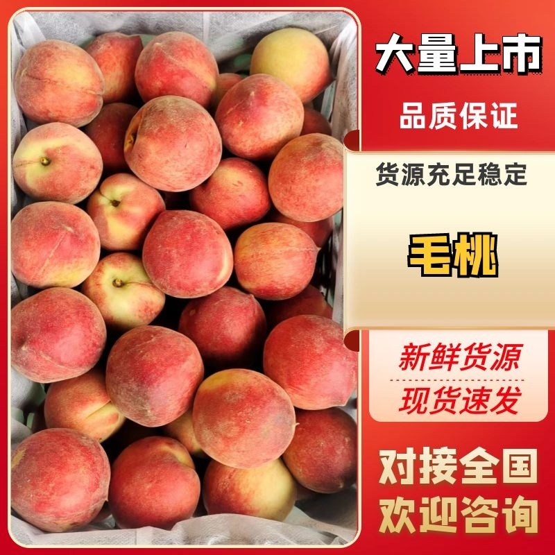 【优选】湖北毛桃襄阳桃子图为水蜜桃一手货源价格美丽回头客