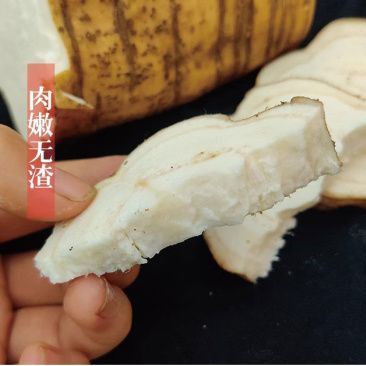 无渣粉葛餐桌上的佳肴村集体种植不发次品四川武胜