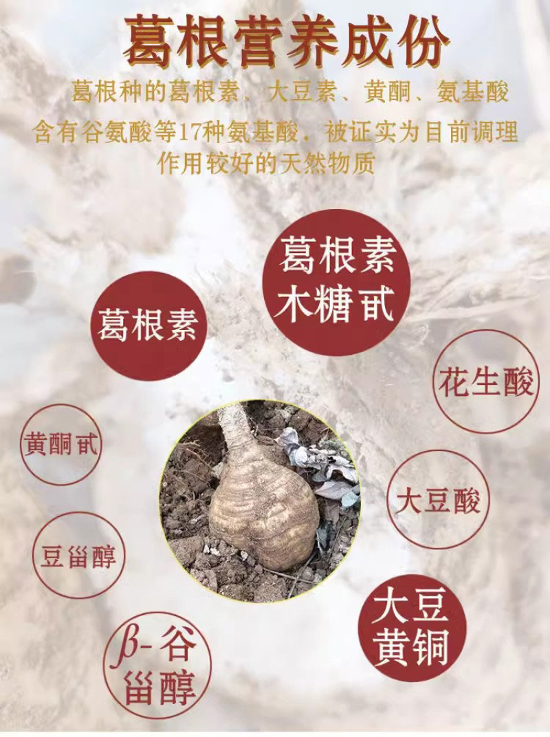 无渣粉葛餐桌上的佳肴村集体种植不发次品四川武胜