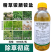 精草铵膦铵盐恶性杂草不伤果树不伤土壤牛筋草小飞蓬除草剂