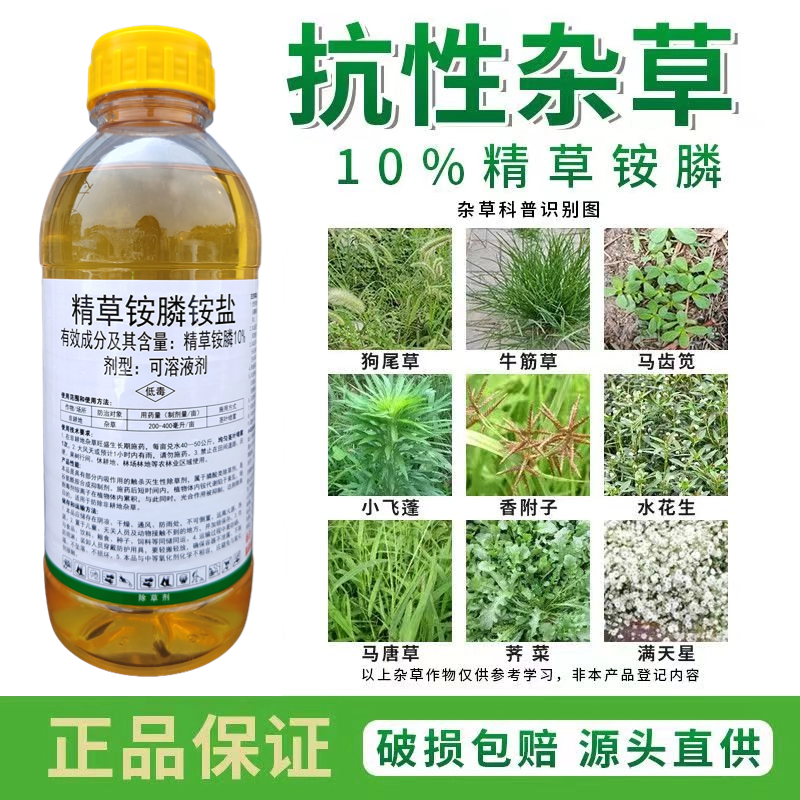 精草铵膦铵盐恶性杂草不伤果树不伤土壤牛筋草小飞蓬除草剂