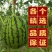 砀山小糖丸西瓜基地直发量大质优价格优惠欢迎电联