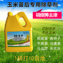 30%硝·烟·莠去津玉米苗后专用除草剂狗尾草封闭除草禾阔
