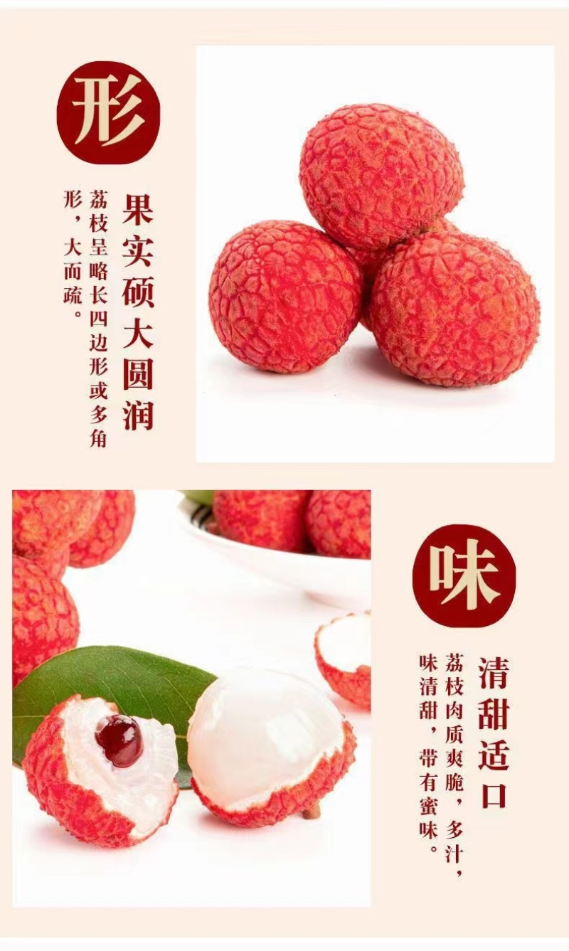 【精品白糖罂荔枝】高州水库高品果，5月20日