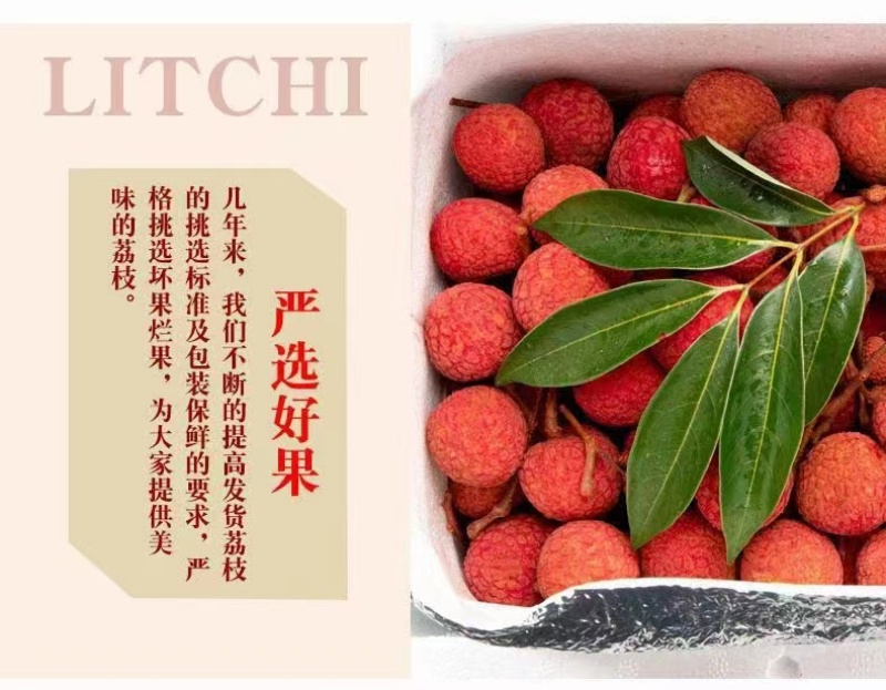 【精品白糖罂荔枝】高州水库高品果，5月20日