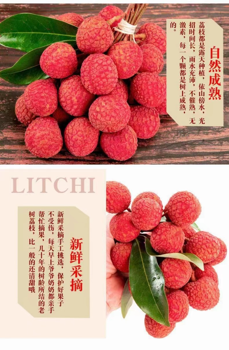【精品白糖罂荔枝】高州水库高品果，5月20日