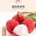 【精品白糖罂荔枝】高州水库高品果，5月20日