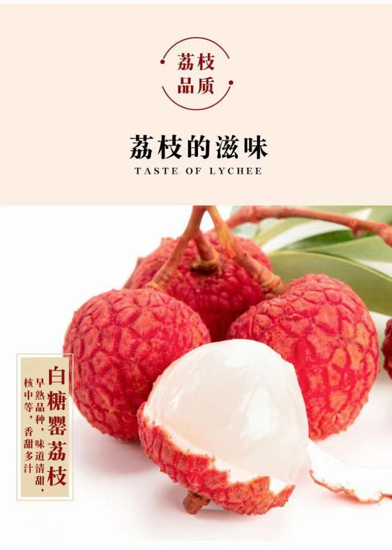 【精品白糖罂荔枝】高州水库高品果，5月20日