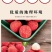 【精品白糖罂荔枝】高州水库高品果，5月20日