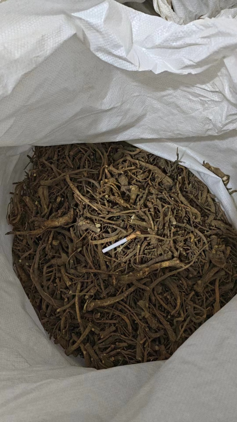 贵州百花前胡贵州精品百花前胡，产地直供，一手货源，品质保证