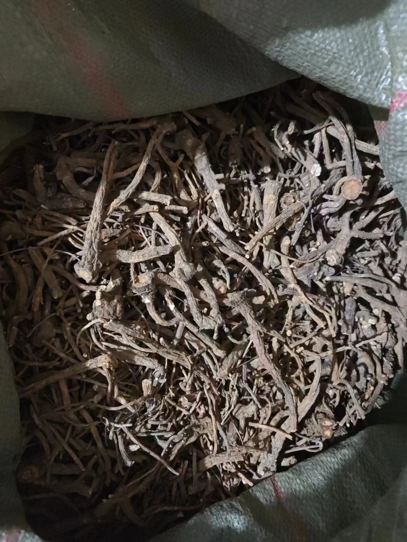 贵州百花前胡贵州精品百花前胡，产地直供，一手货源，品质保证